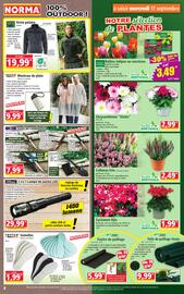 Catalogue Norma semaine 38 page 4