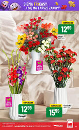 Polomarket gazetka tydzień 37 Strona 63