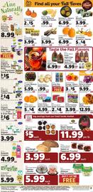 Harris Teeter weekly ad week 37 Page 9