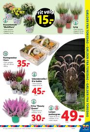Lidl tilbudsavis uge 38 Side 27