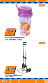 Action Prospekt woche 37 Seite 13