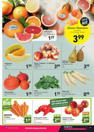 CITTI Markt Prospekt woche 37 Seite 9