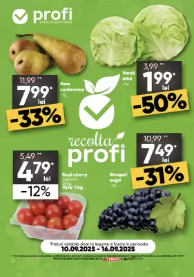 Catalog PROFI (valid până la 16-09)