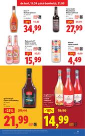 Catalog Lidl săptămâna 38 Pagină 13