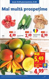 Catalog Lidl săptămâna 38 Pagină 27