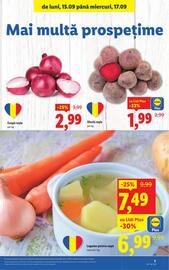 Catalog Lidl săptămâna 38 Pagină 3