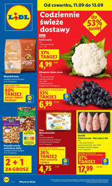 Lidl gazetka Strona 1