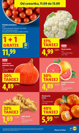 Lidl gazetka Strona 21