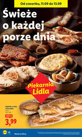 Lidl gazetka Strona 22