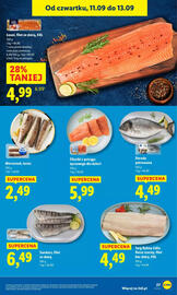 Lidl gazetka Strona 29