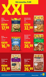 Lidl gazetka Strona 41