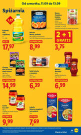 Lidl gazetka Strona 45