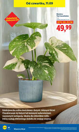 Lidl gazetka Strona 46