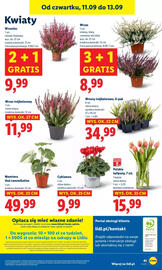Lidl gazetka Strona 47