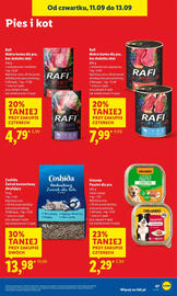 Lidl gazetka Strona 53