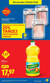 Lidl gazetka Strona 9
