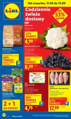Lidl gazetka (ważność do 13-09)