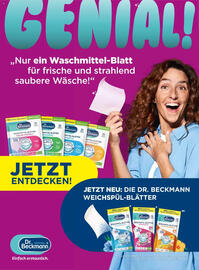 Dm Flugblatt Seite 67