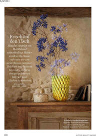 Dm Flugblatt Seite 68