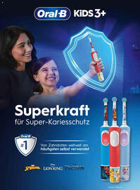 Dm Flugblatt Seite 74
