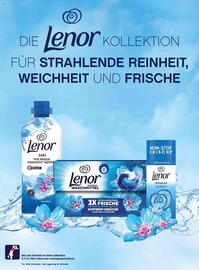 Dm Flugblatt Seite 8
