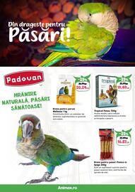 Magazine Animax Pagină 23