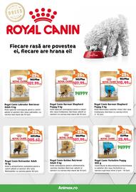 Magazine Animax Pagină 7