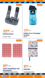 Action Flugblatt woche 37 Seite 21