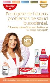 Folleto Clarel Página 7