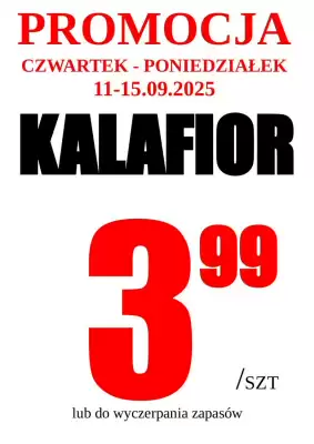 Wizan gazetka (ważność do 16-09)