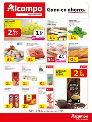 Folleto Alcampo supermercado (válido hasta el 24-09)