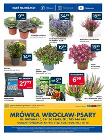 Mrówka gazetka Strona 8
