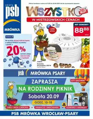 Mrówka gazetka (ważność do 20-09)