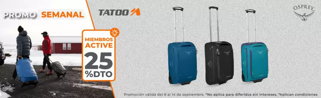 Catálogo Tatoo (válido hasta 14-09)