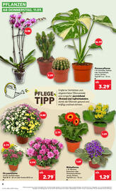 Kaufland tilbudsavis uge 37 Side 4