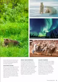 Flight Centre brochure Page 79