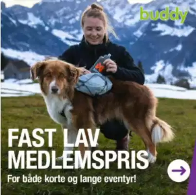 Buddy kundeavis (gyldig til 16-09)