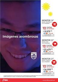 Revista Fava Página 13