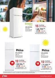Revista Fava Página 31