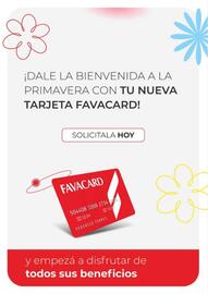 Revista Fava Página 46