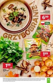 Stokrotka Market gazetka tydzień 37 Strona 11