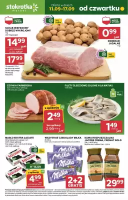 Stokrotka Market gazetka