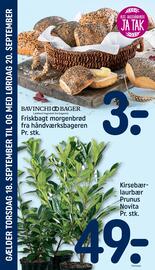 REMA 1000 tilbudsavis uge 38 Side 26