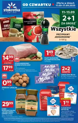 Stokrotka Optima gazetka