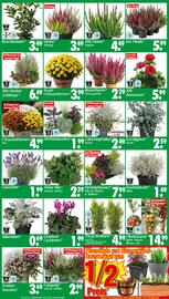 Wreesmann Prospekt woche 37 Seite 3