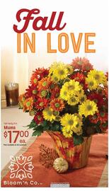 Maceys weekly ad week 37 Page 9