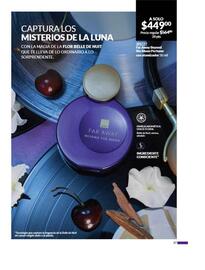 Catálogo Avon Página 73
