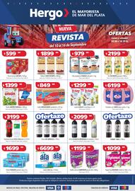 Revista Hergo semana 37 Página 1