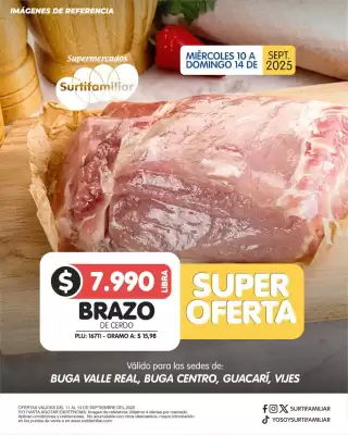 Catálogo Surtifamiliar (válido hasta 14-09)