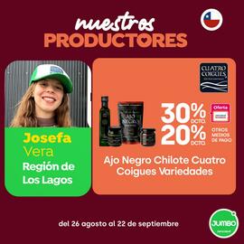 Catálogo Jumbo Página 2